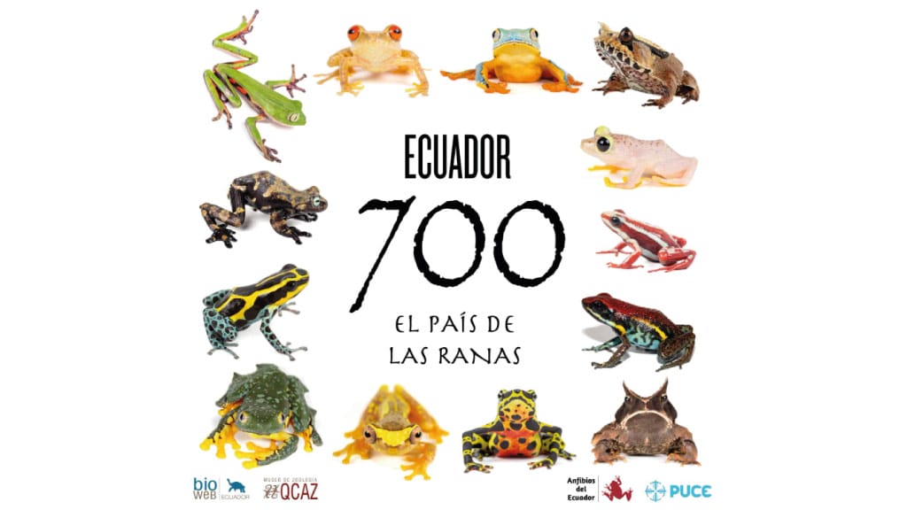 Ecuador-celebrates 700-recorded frog-species in 2025
