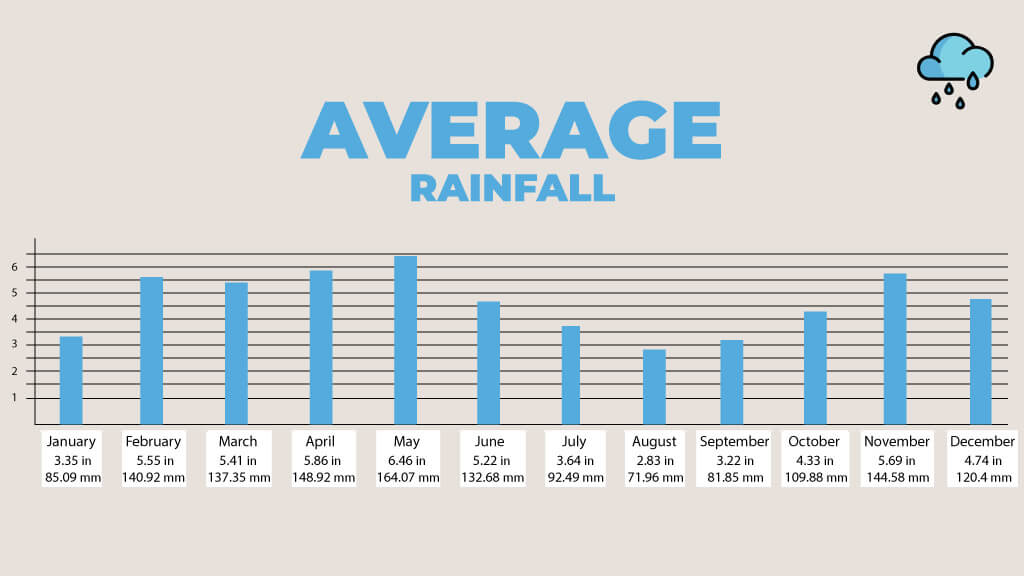 Ecuador-Amazon-Weather---Yasuni-Rainfall-By-Month