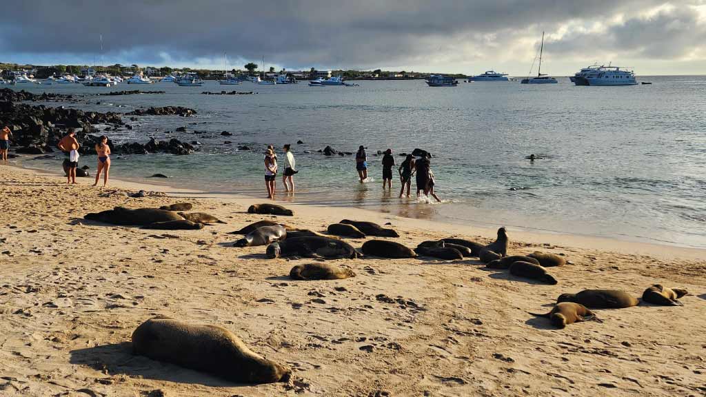 galapagos is a safe travel destination