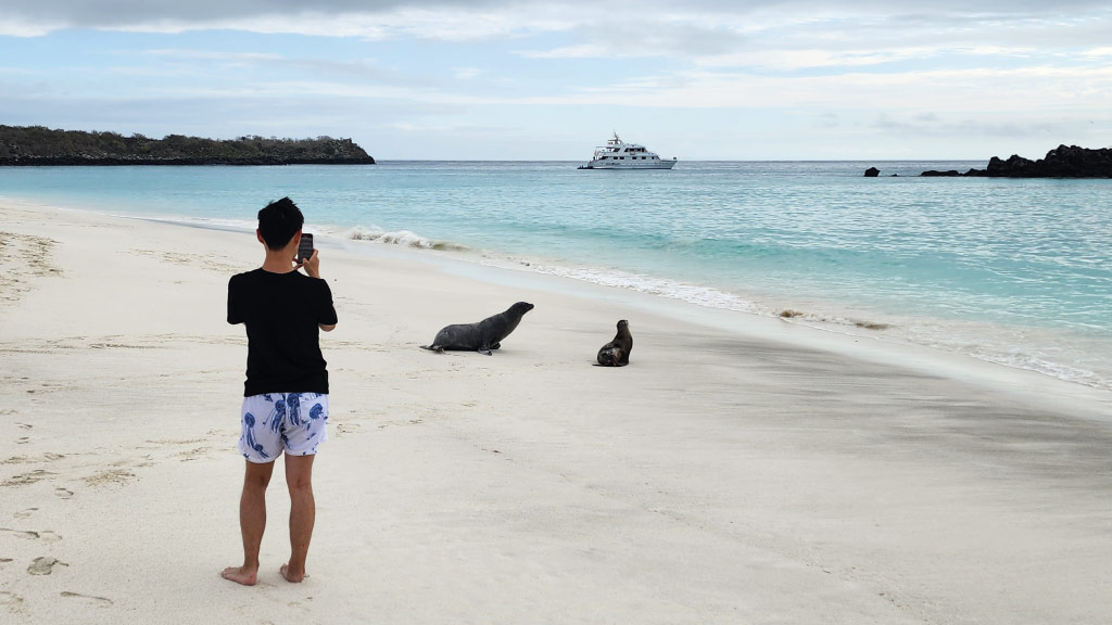 stay Safe-With-Galapagos-Wildlife by keeping your distance