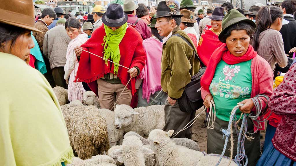 Saquisili-Animal-Market-in ecuador