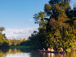 canoe tour in ecuador's amazon rainforest