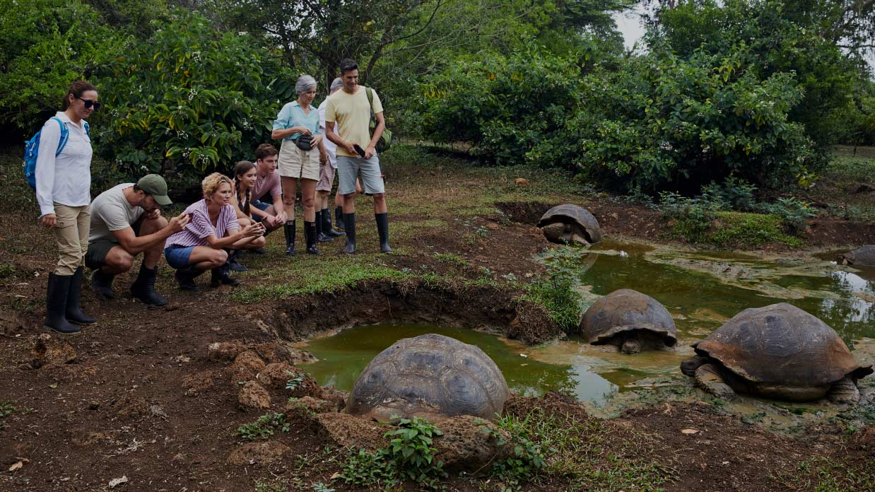 galapagos family vacation with giant tortoises