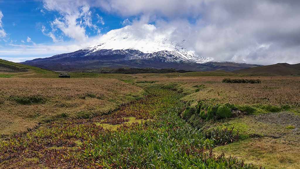 antisana-volcano-landscape-in-ecuador