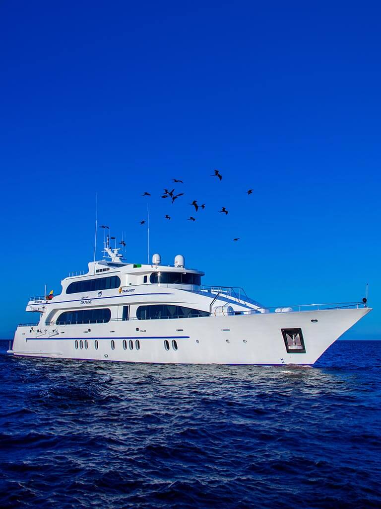 Große Daphne-Yacht