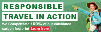 banner-responsible-travel-in-action-in-green-mobile-happy-gringo