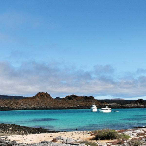 best-time-to-go-to-galapagos-short-image