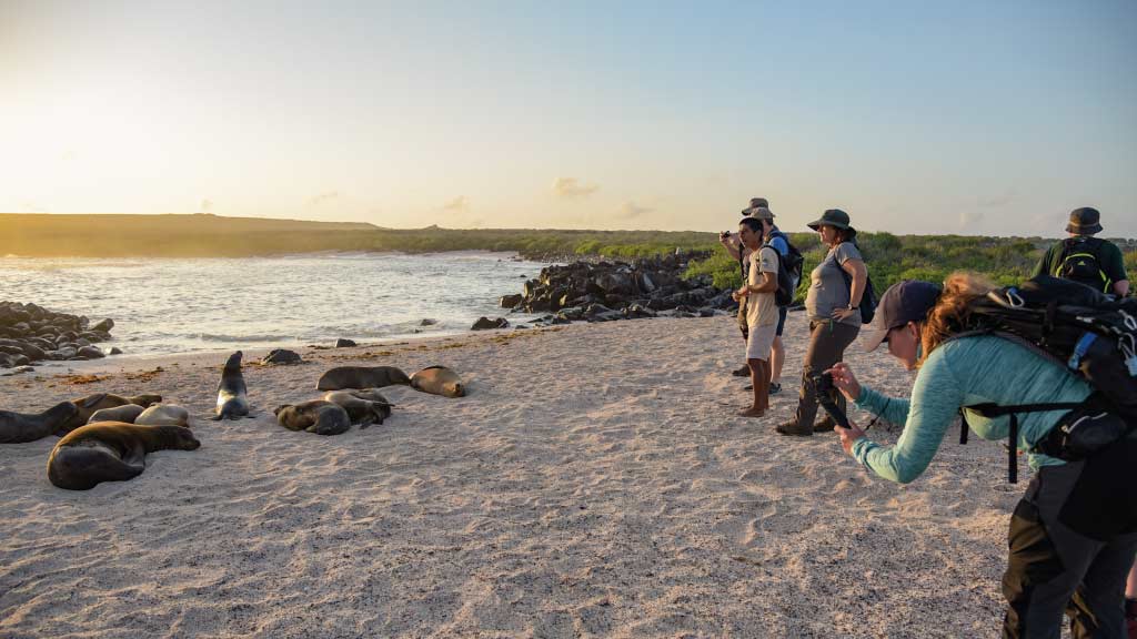 beste Zeit für einen Besuch der Galapagosinseln