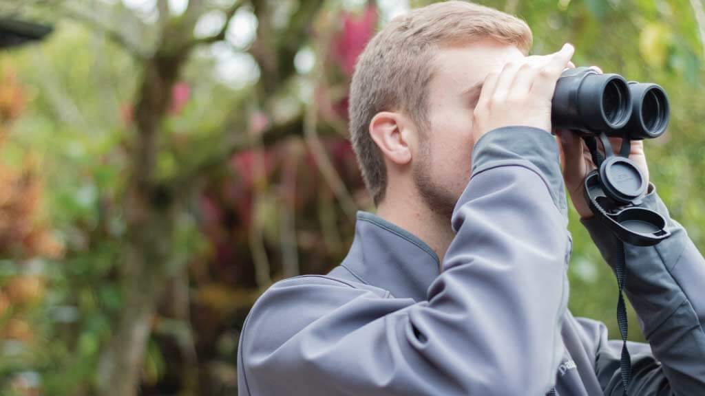 mindo bird watching in ecuador