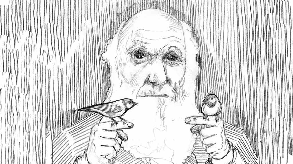 charles darwin with galapagos finches drawing