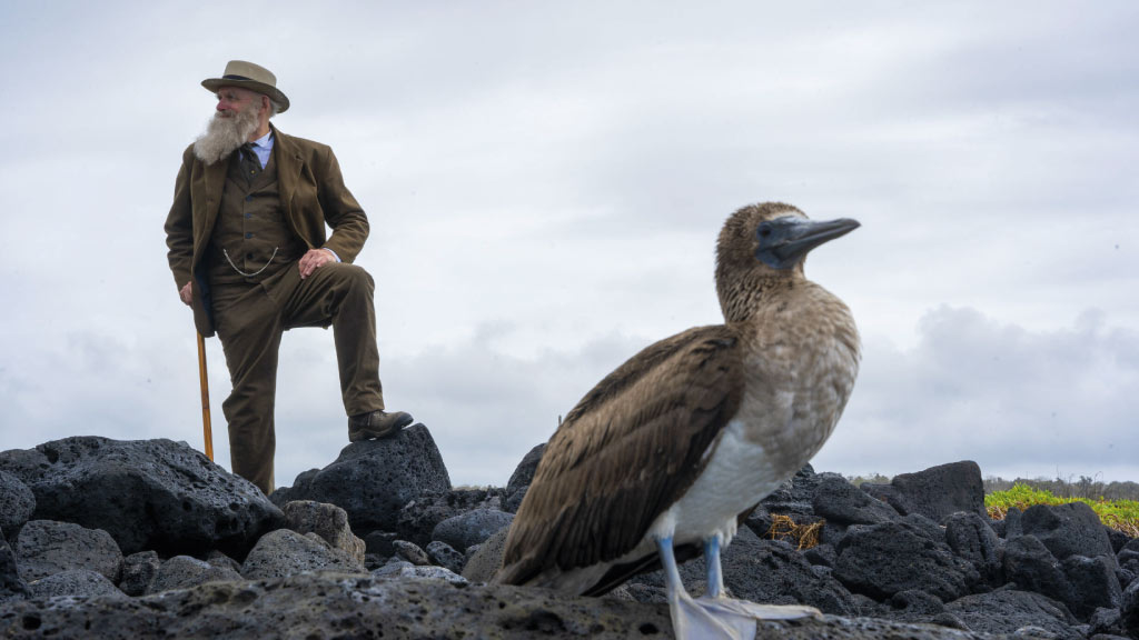 charles-darwin-with-a-blue-footed-booby at the galapagos islands