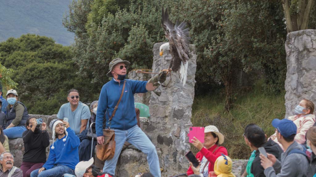 condor-park-otavalo parque condor ecuador