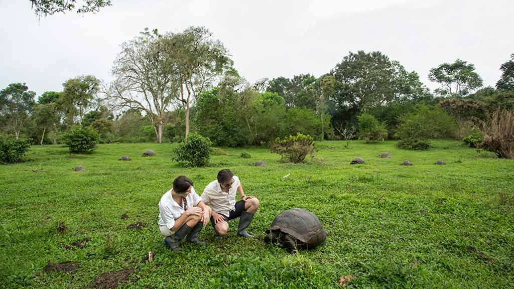 tourist couple with giant galapagos tortoise