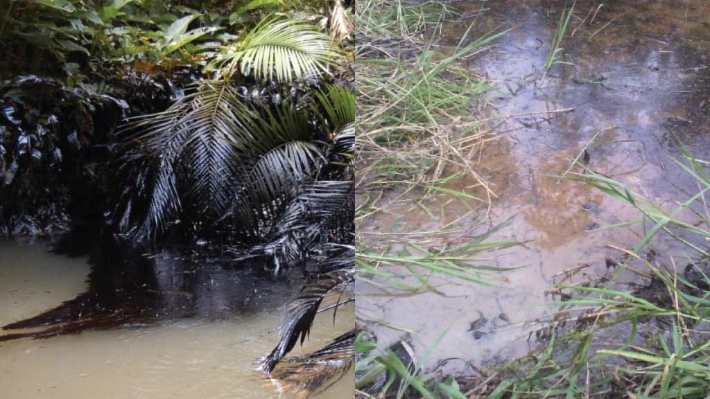 oil leak damage in amazon rainforest