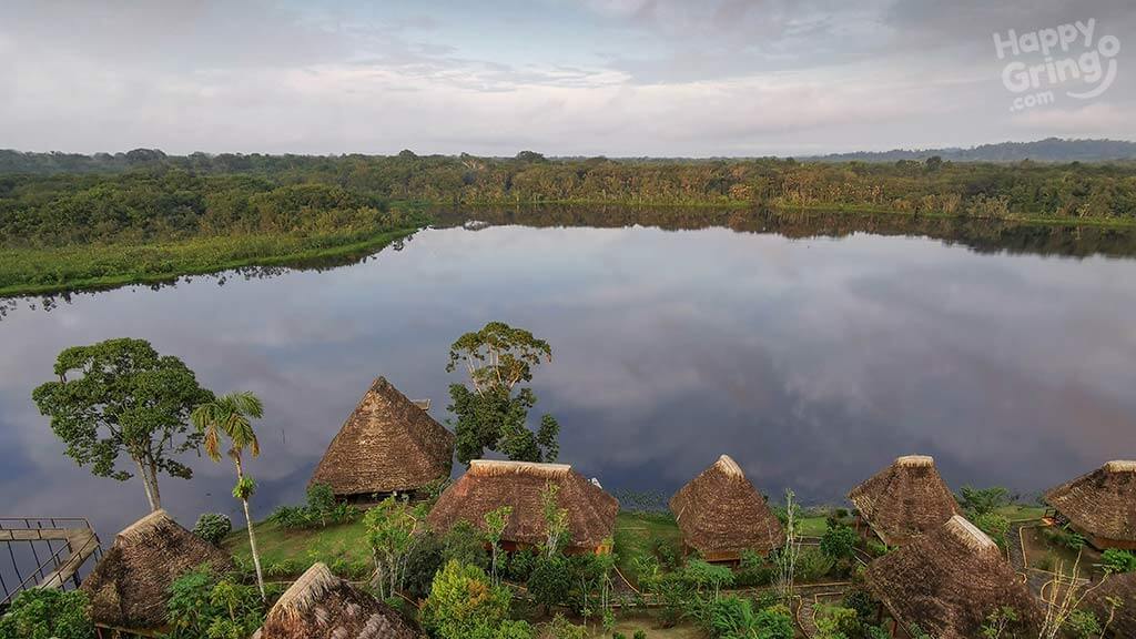 ecuador's yasuni national park in the amazon rainforest