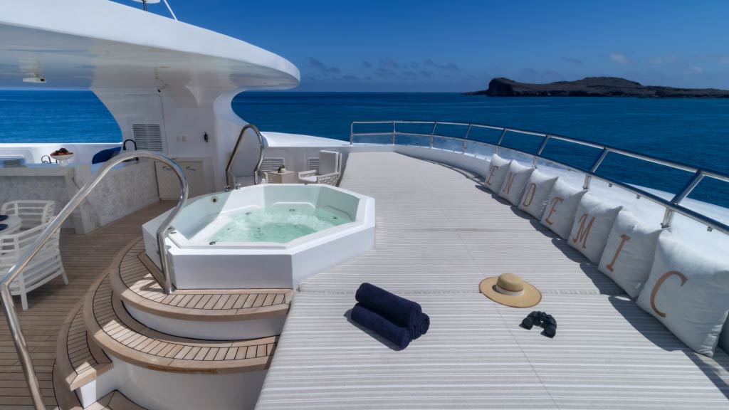 endemic-catamaran-galapagos-sky-deck jacuzzi hot tub