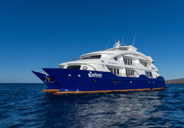 Endemic Catamaran