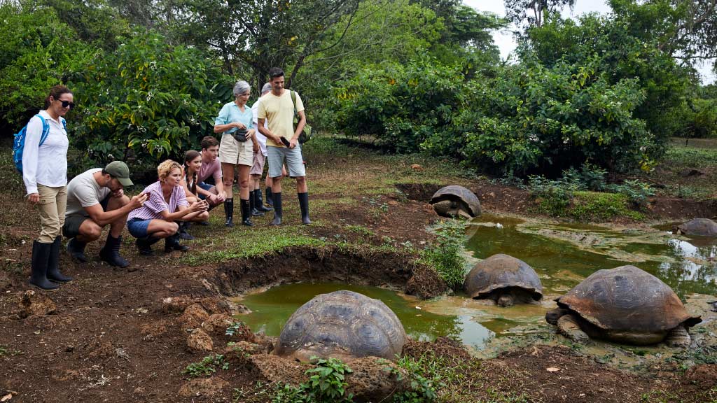 galapagos family vacation with giant tortoises