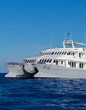 catamarán de crucero galápagos