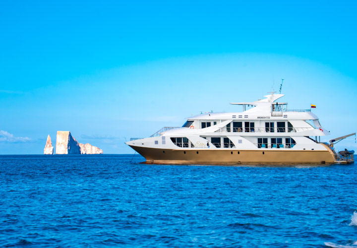 Elite Yacht