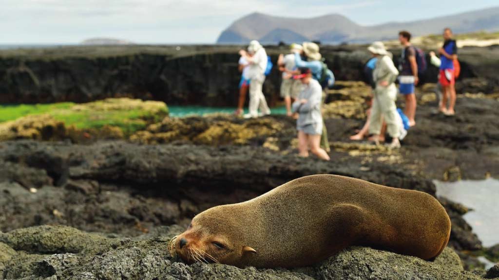Wie man mit kleinem Budget auf die Galapagosinseln reist