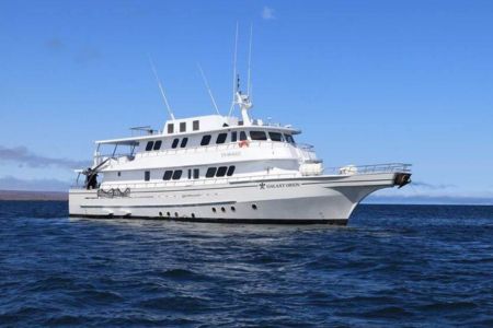 galaxi orion dive cruise index 2026