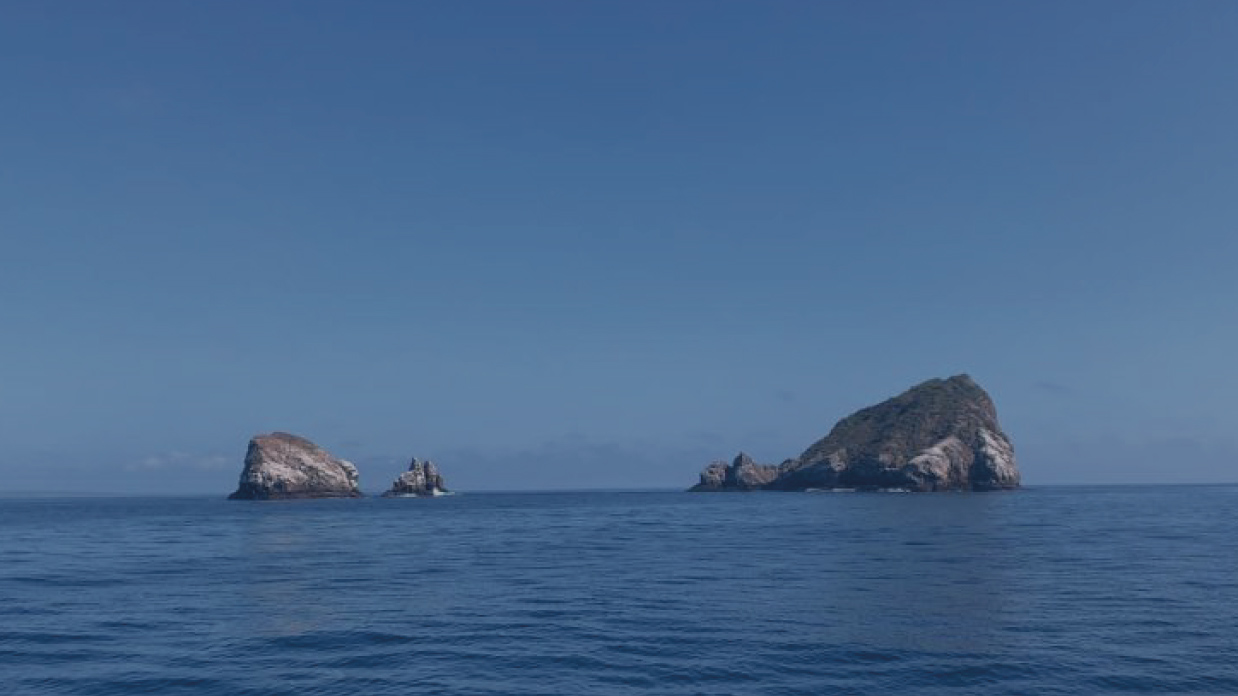 gordon-rocks-dive site galapagos islands