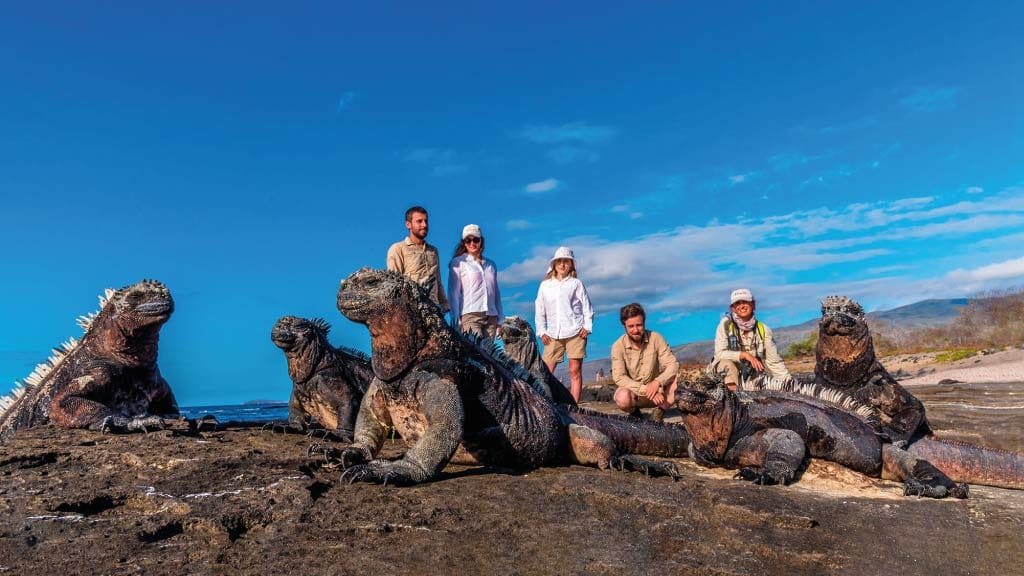 Gruppe von Passagieren mit Meerechsen auf den Galapagosinseln