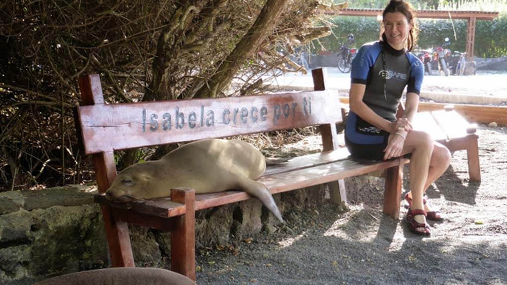 tourist sharing a bench with lazy galapagos sealion on isabela island