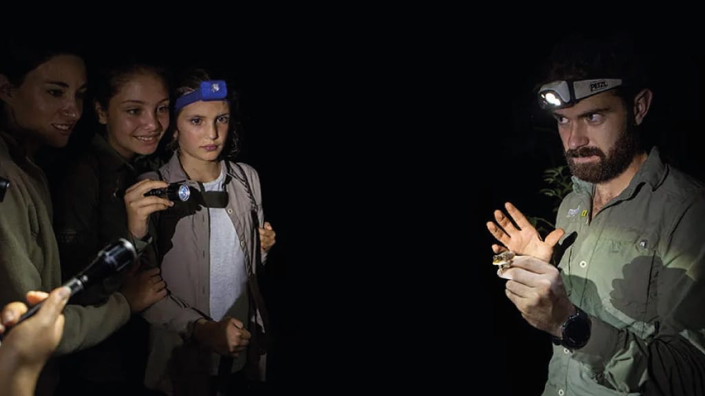 mashpi-night-activity-with-kids