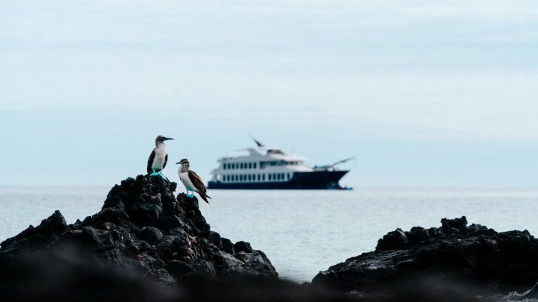 origin-galapagos-yacht-in-galapagos