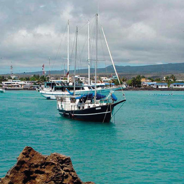 puerto-ayora-short-image