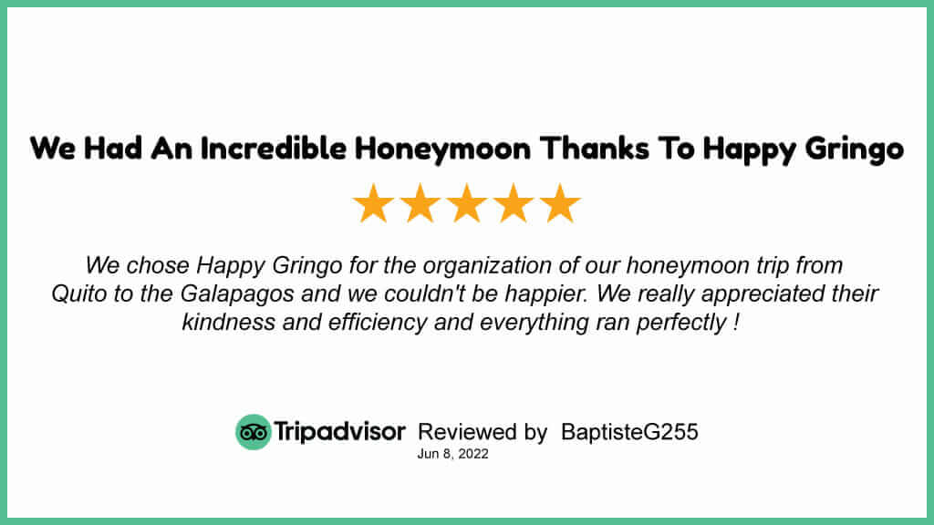 galapagos honeymoon trip advisor review happy gringo