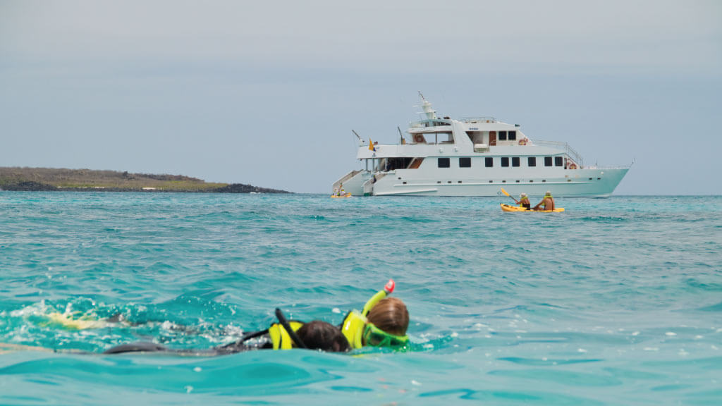 snorkeling-tour-seaman-journey at galapagos ecuador