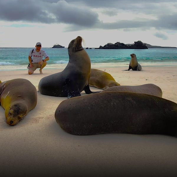 john potts latest blogs - is galapagos safe?