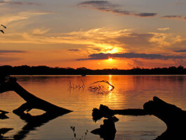 cuyabeno-wildlife-reserve-ecuador at sunset on laguna grande