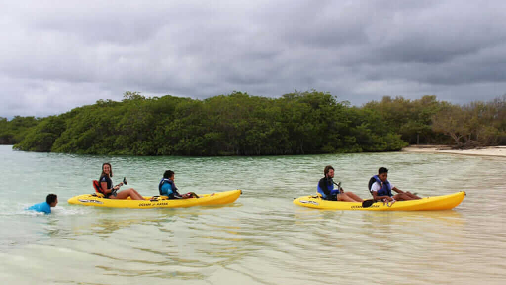las tintoreras kayak tour galapagos