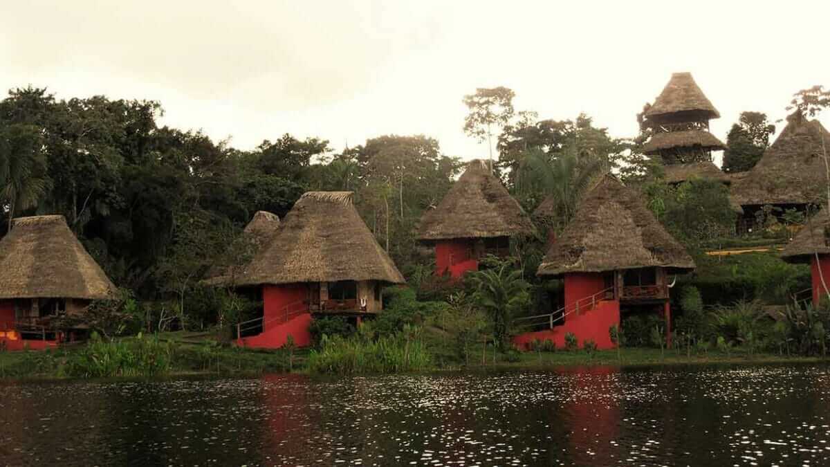 Yasuni National Park A Visitors Guide to Yasuni Ecuador