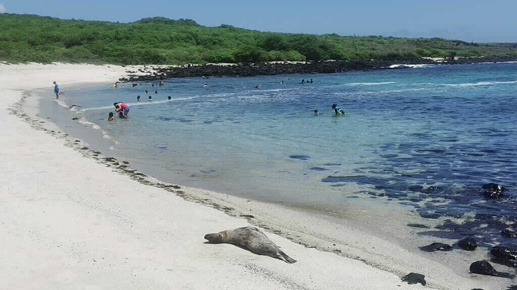 galapagos san cristobal lal oberia beach