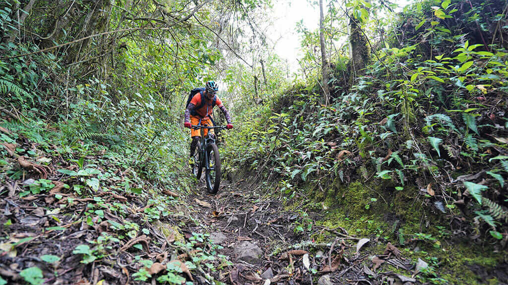 Mountainbiking im Nebelwald in Ecuador