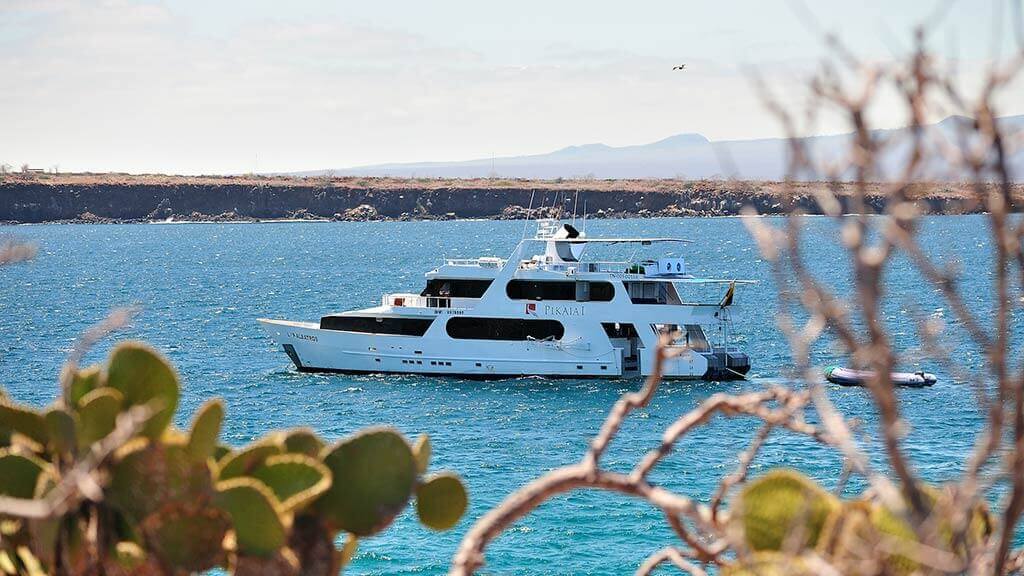 excursion d'une journée aux galapagos pikaia yacht
