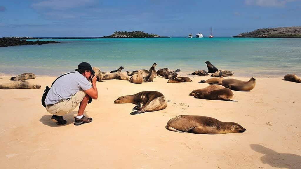 un touriste prend une photo d'un lion de mer lors de la visite de pikaia lodge aux galapagos