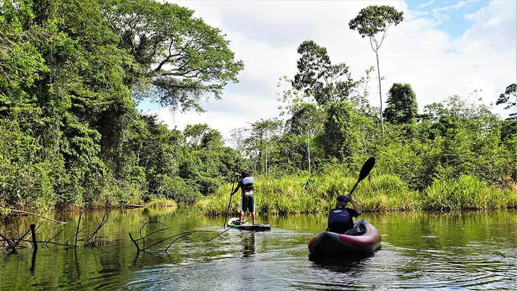 ecuador kayaking and SUP tour amazon rainforest
