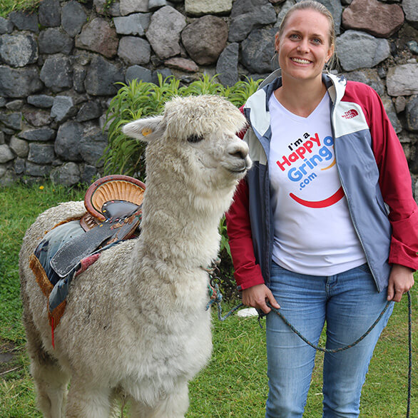 happy gringo tourist with an alpaca