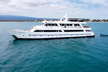 sea-star-yacht-thumb